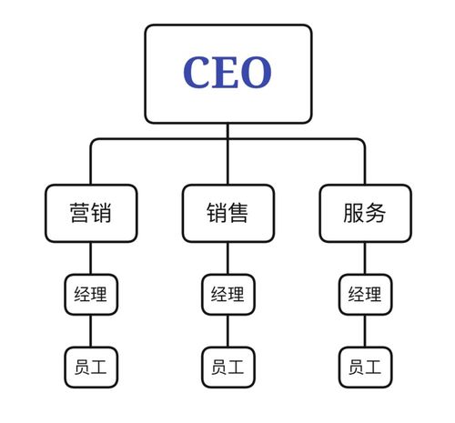 6大电商企业管理结构剖析