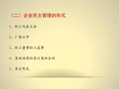 企业民主管理理论与实践