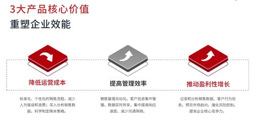 同心雁s erp 破解销售型企业管理痛点的一体化解决方案
