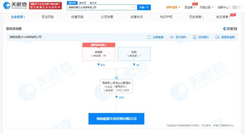 胡海泉在海南成立传媒新公司