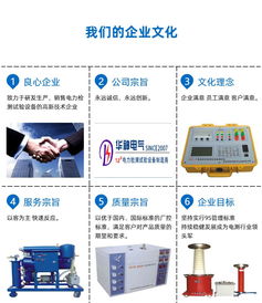 华神电气公司与浙江电力学院SF6微水测试仪的技术合作与企业管理